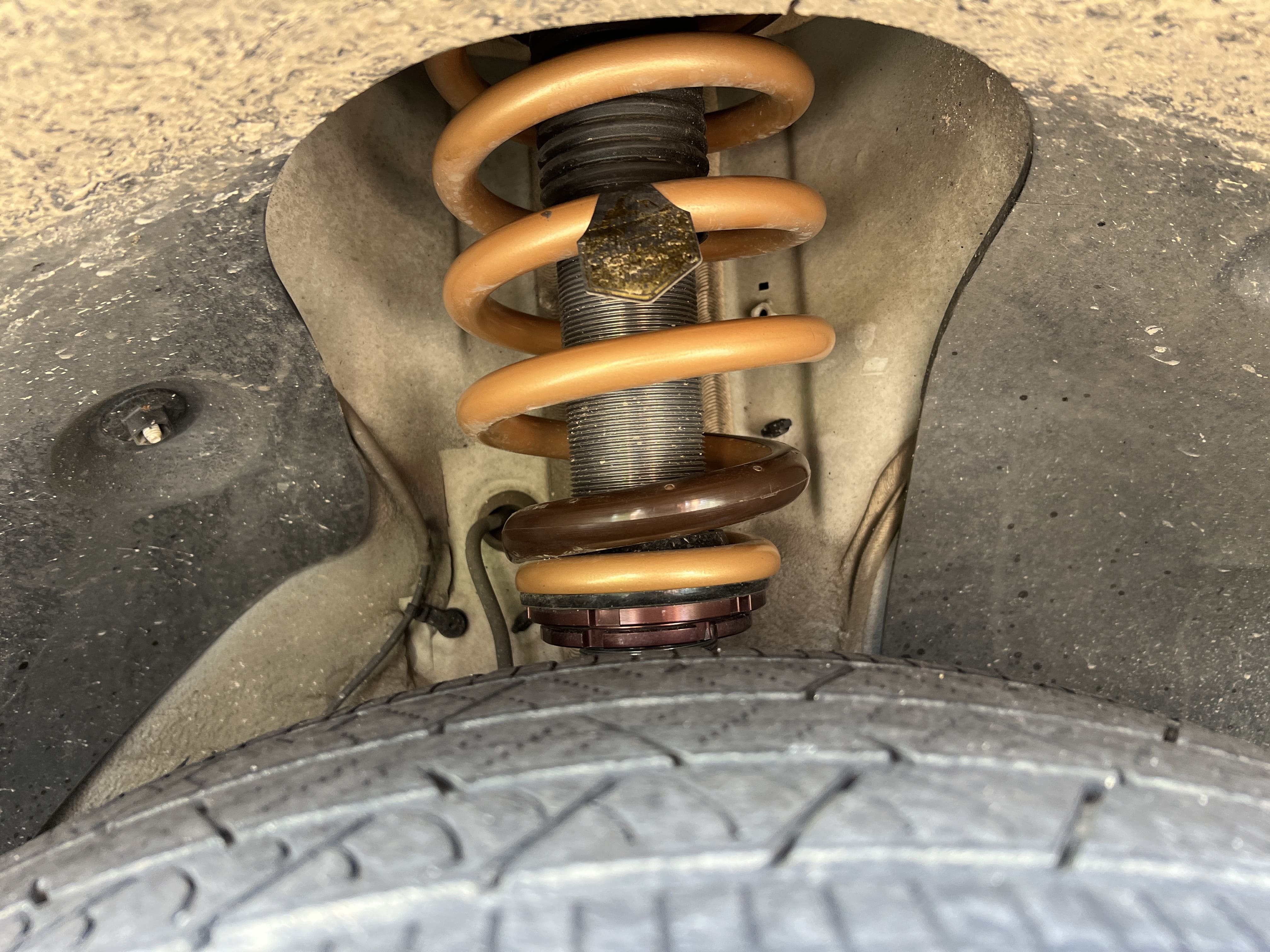 PALISADE CONTOUR COILOVER_d6